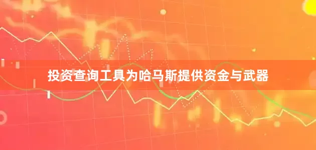 投资查询工具为哈马斯提供资金与武器